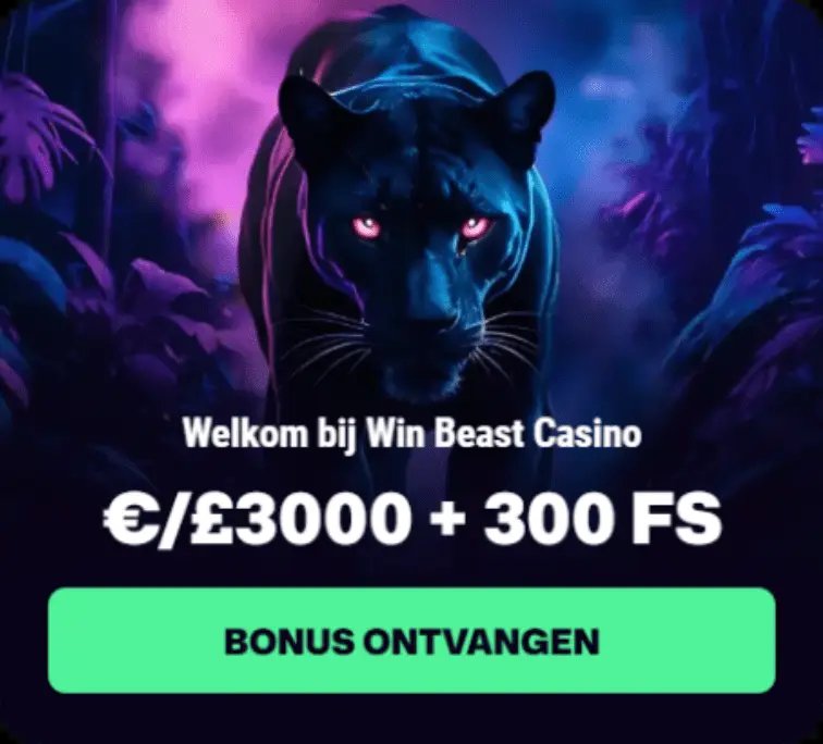 A look at casino winbeast